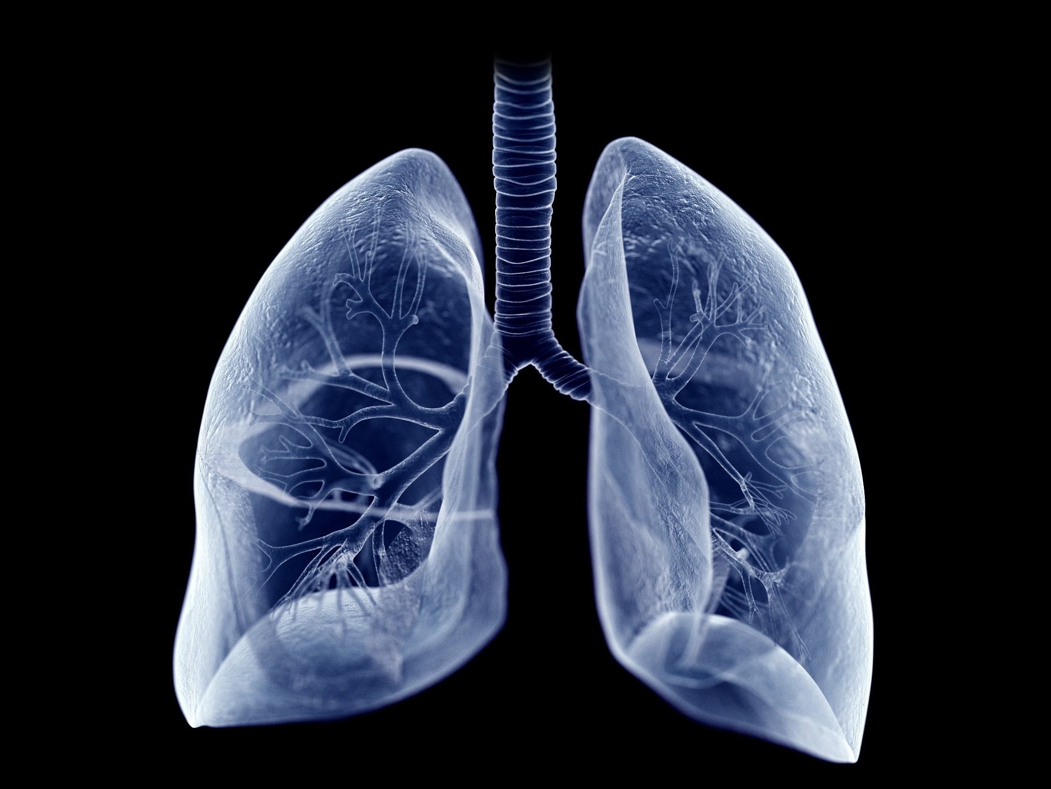  Highly efficient memory B cells found in the lungs |  press room

