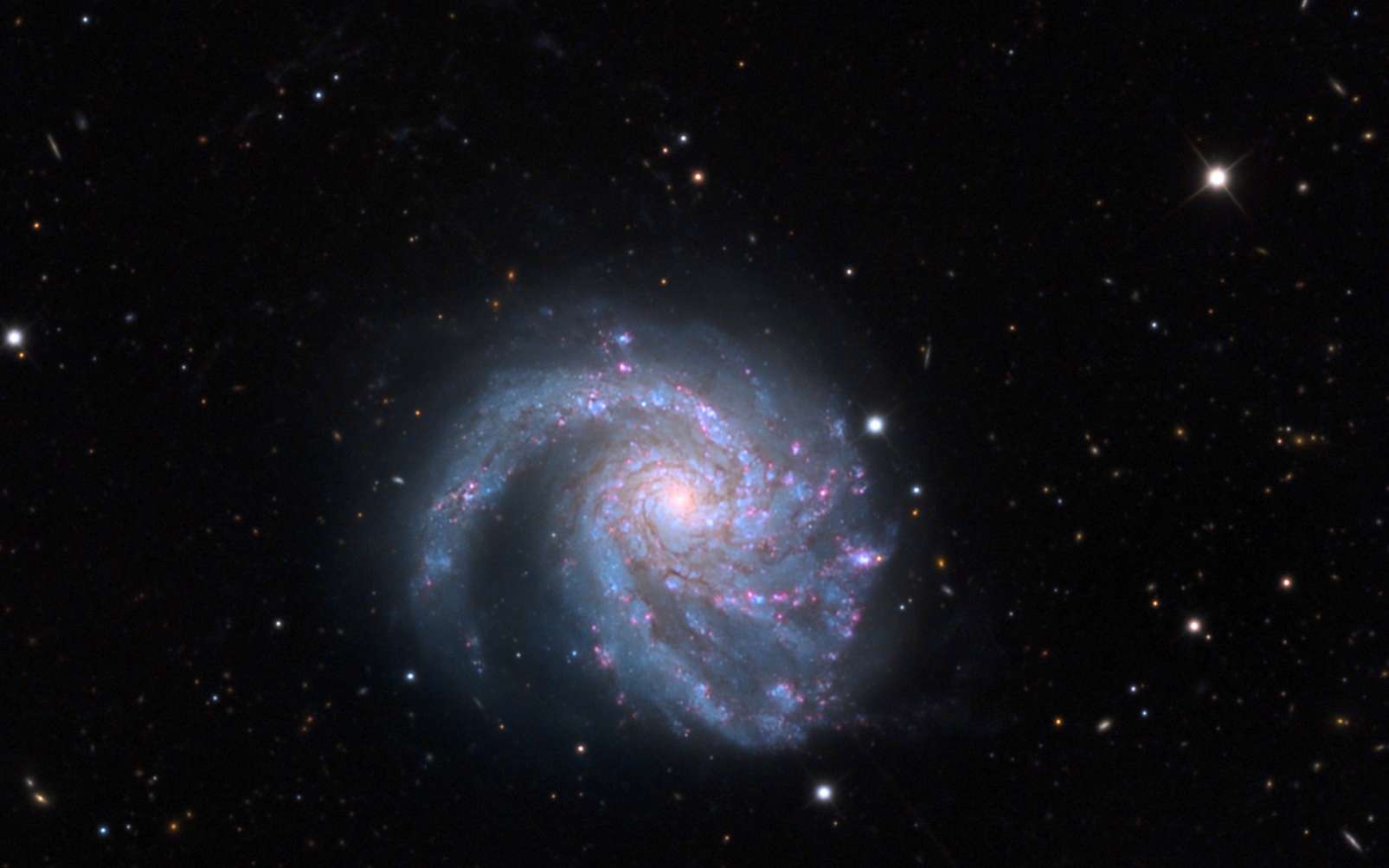 Une galaxie de l'Amas de la Vierge, Messier 99. © Adam Block, Mount Lemmon SkyCenter, University of Arizona