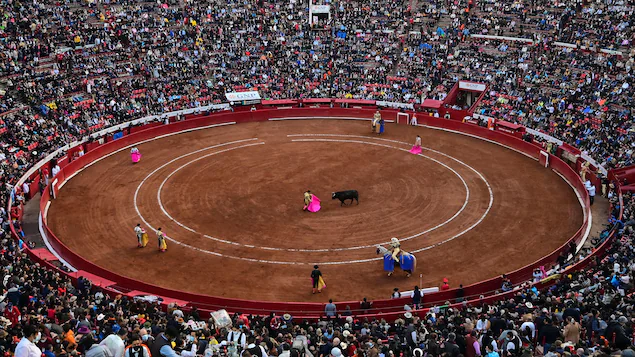 The suspension of bullfighting in Mexico City has been confirmed

