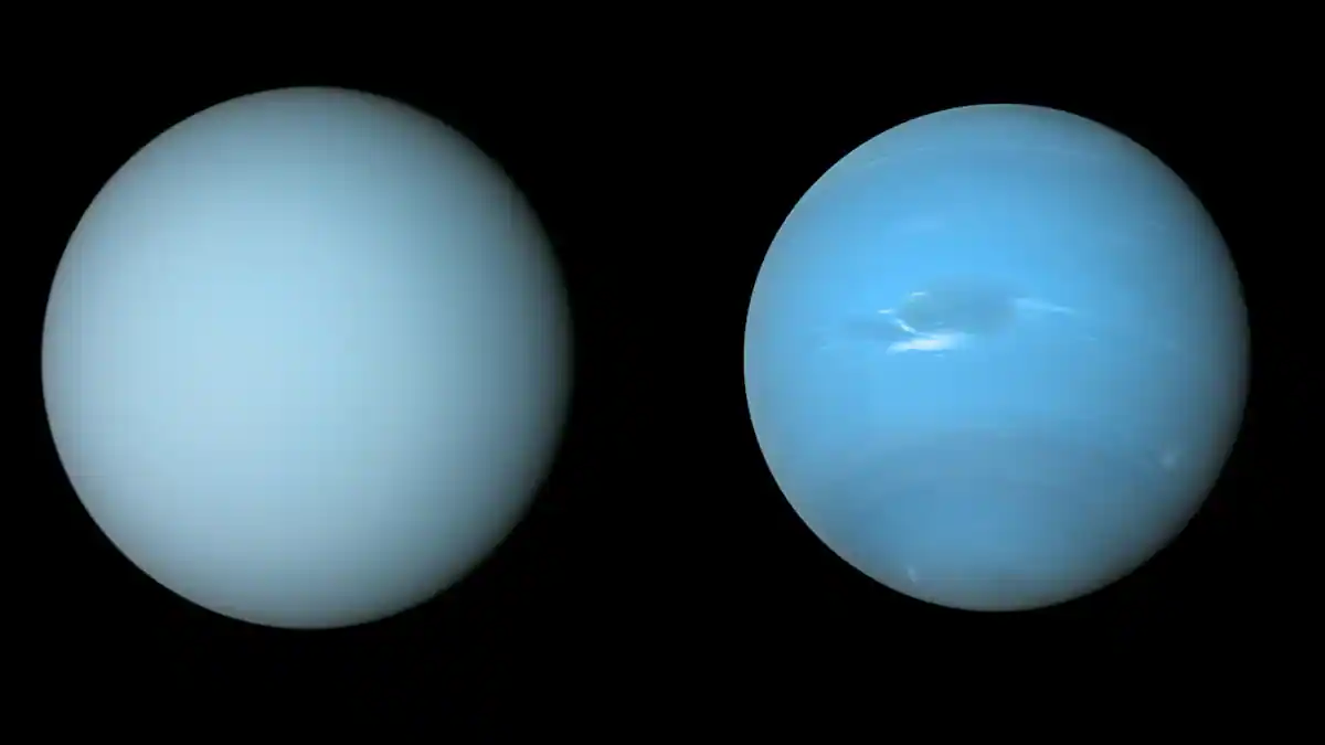 Uranus hidden in the mist is paler than its sister Neptune

