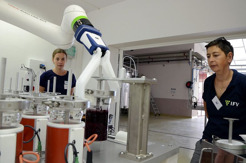The articulated arm of the robot picks up a small bowl of 1 kg every minute