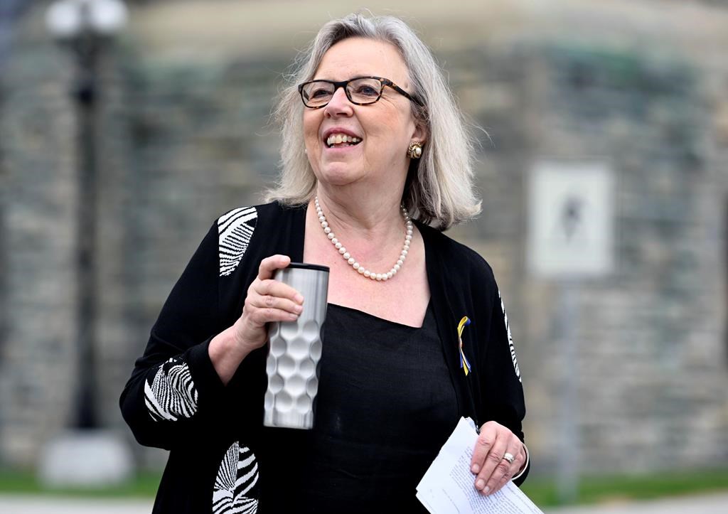 Elizabeth May wants to return to lead the Canadian Green Party with a co-leader

