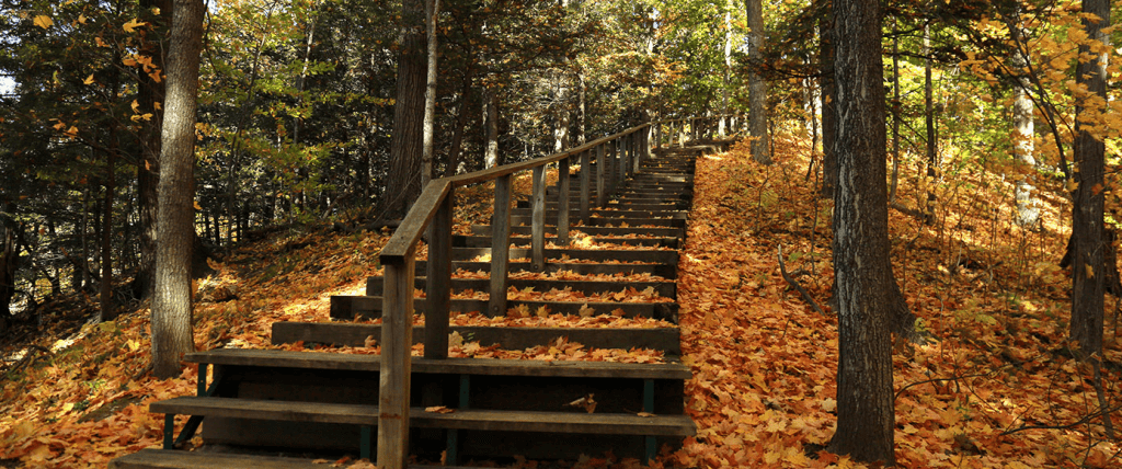 Cheap things to do in Vaughan 2023: Affordable Adventures Cheap things to do in Vaughan 2023: Affordable Adventures